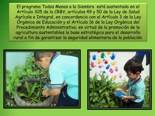El programa Todos Manos a la Siembra está sustentado en el
  Artículo 305 de la CRBV, artículos 49 y 50 de la Ley de Salud
 Agrícola e Integral, en concordancia con el Artículo 3 de la Ley
  Orgánica de Educación y el Artículo 16 de la Ley Orgánica del
 Procedimiento Administrativo; en virtud de la promoción de la
 agricultura sustentables la base estratégica para el desarrollo
rural a fin de garantizar la seguridad alimentaria de la población.
 