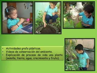 • Actividades grafo plásticas.
• Videos de conservación del ambiente.
• Explicación de proceso de vida una planta
  (semilla, tierra, agua, crecimiento y fruto).
 