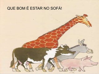 QUE BOM É ESTAR NO SOFÁ!
 