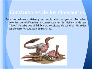 Estos normalmente vivían y se desplazaban en grupos. Formaban
colonias de nidificación y cooperaban en la vigilancia de sus
"nidos". Se sabe que el T-REX macho cuidaba de sus crias. No todos
los dinosaurios cuidaban de sus crias.
Constumbres de los dinosaurios
 