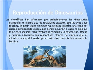 Los científicos han afirmado que probablemente los dinosaurios
mantenían el mismo tipo de relaciones sexuales que las aves y los
reptiles. Es decir, estos animales ya extintos tendrían una zona del
cuerpo denominada 'cloaca' por donde llevarían a cabo no solo sus
relaciones sexuales sino también la micción y la defecación. Macho
y hembra alinearían sus respectivas cloacas de manera que el
miembro sexual del macho penetraría directamente la cloaca de la
hembra.
Reproducción de Dinosaurios
 
