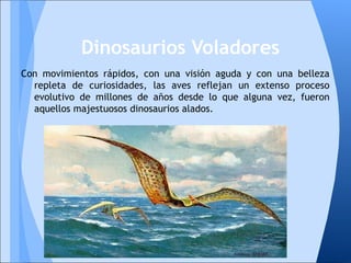 Con movimientos rápidos, con una visión aguda y con una belleza
repleta de curiosidades, las aves reflejan un extenso proceso
evolutivo de millones de años desde lo que alguna vez, fueron
aquellos majestuosos dinosaurios alados.
Dinosaurios Voladores
 
