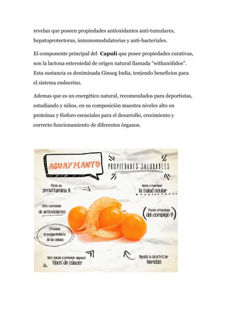 revelan que poseen propiedades antioxidantes anti-tumulares,
hepatoprotectoras, inmunomodulatorias y anti-bacteriales.
El componente principal del ​Capulí​ que posee propiedades curativas,
son la lactona esteroiedal de origen natural llamada "withanólidos".
Esta sustancia es deniminada Ginseg India, teniendo beneficios para
el sistema endocrino.
Ademas que es un energético natural, recomendados para deportistas,
estudiando y niños, en su composición muestra niveles alto en
proteínas y fósforo esenciales para el desarrollo, crecimiento y
correcto funcionamiento de diferentes órganos.
 
