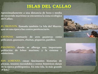 Aproximadamente a una distancia de hora y media
de recorrido marítimo se encuentra la zona ecológica
del Callao.
EL FRONTÓN, llamada también La Isla del Muerto,
que en una época fue centro penitenciario.
CAVINZAS, santuario de aves guaneras como
pelícanos, guanayes, chuitas, piqueros, patillos.
PALOMINO, donde se alberga una importante
población de lobos marinos; y la extensa y
misteriosa.
SAN LORENZO, cuyas fascinantes historias de
piratas, tesoros escondidos y restos históricos datan
de la época prehispánica. En esta isla, la más grande
(8 km.)
ISLAS DEL CALLAO
 