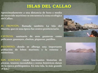ISLAS DEL CALLAOAproximadamente a una distancia de hora y media de recorrido marítimo se encuentra la zona ecológica del Callao.EL FRONTÓN, llamada también La Isla del Muerto, que en una época fue centro penitenciario.CAVINZAS, santuario de aves guaneras como pelícanos, guanayes, chuitas, piqueros, patillos.PALOMINO, donde se alberga una importante población de lobos marinos; y la extensa y misteriosa.SAN LORENZO, cuyas fascinantes historias de piratas, tesoros escondidos y restos históricos datan de la época prehispánica. En esta isla, la más grande (8 km.)