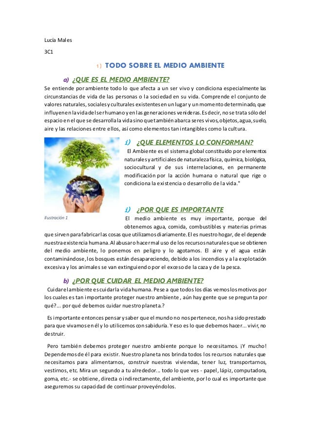 Todo sobre el medio ambiente