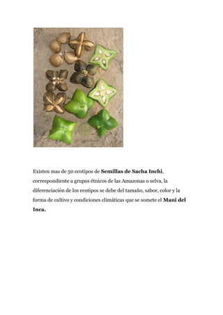 Existen mas de 50 ecotipos de ​Semillas de Sacha Inchi​,
correspondiente a grupos étnicos de las Amazonas o selva, la
diferenciación de los ecotipos se debe del tamaño, sabor, color y la
forma de cultivo y condiciones climáticas que se somete el​ Mani del
Inca.
 