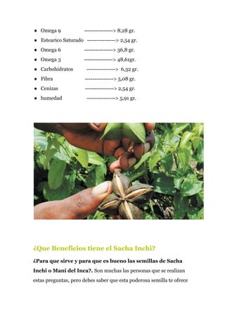● Omega 9 ---------------> 8,28 gr.
● Estearico Saturado ---------------> 2,54 gr.
● Omega 6 ---------------> 36,8 gr.
● Omega 3 ---------------> 48,61gr.
● Carbohidratos ---------------> 6,32 gr.
● Fibra ---------------> 5,08 gr.
● Cenizas ---------------> 2,54 gr.
● humedad ---------------> 5,91 gr.
¿Que Beneficios tiene el Sacha Inchi?
¿Para que sirve y para que es bueno las semillas de Sacha
Inchi o Maní del Inca?. ​Son muchas las personas que se realizan
estas preguntas, pero debes saber que esta poderosa semilla te ofrece
 