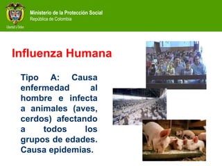 Ministerio de la Protección Social
República de Colombia
Tipo A: Causa
enfermedad al
hombre e infecta
a animales (aves,
cerdos) afectando
a todos los
grupos de edades.
Causa epidemias.
Influenza Humana
 