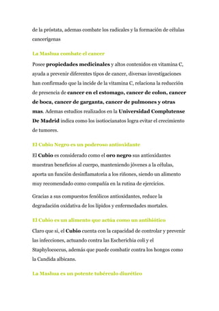 de la próstata, ademas combate los radicales y la formación de células
cancerígenas
La Mashua combate el cancer
Posee ​propiedades medicinales​ y altos contenidos en vitamina C,
ayuda a prevenir diferentes tipos de cancer, diversas investigaciones
han confirmado que la incide de la vitamina C, relaciona la reducción
de presencia de ​cancer en el estomago, cancer de colon, cancer
de boca, cancer de garganta, cancer de pulmones y otras
mas​. Ademas estudios realizados en la ​Universidad Complutense
De Madrid​ indica como los isotiocianatos logra evitar el crecimiento
de tumores.
El Cubio Negro es un poderoso antioxidante
El ​Cubio ​es considerado como el ​oro negro​ sus antioxidantes
muestran beneficios al cuerpo, manteniendo jóvenes a la células,
aporta un función desinflamatoria a los riñones, siendo un alimento
muy recomendado como compañía en la rutina de ejercicios.
Gracias a sus compuestos fenólicos antioxidantes, reduce la
degradación oxidativa de los lípidos y enfermedades mortales.
El Cubio es un alimento que actúa como un antibiótico
Claro que si, el​ Cubio​ cuenta con la capacidad de controlar y prevenir
las infecciones, actuando contra las Escherichia coli y el
Staphylococcus, además que puede combatir contra los hongos como
la Candida albicans.
La Mashua es un potente tubérculo diurético
 