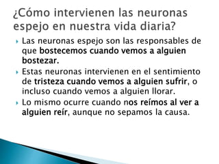  Las neuronas espejo son las responsables de
que bostecemos cuando vemos a alguien
bostezar.
 Estas neuronas intervienen en el sentimiento
de tristeza cuando vemos a alguien sufrir, o
incluso cuando vemos a alguien llorar.
 Lo mismo ocurre cuando nos reímos al ver a
alguien reír, aunque no sepamos la causa.
 