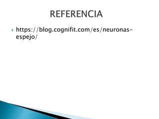  https://blog.cognifit.com/es/neuronas-
espejo/
 