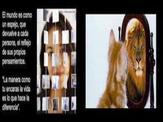 Todo sobre las neuronas espejo