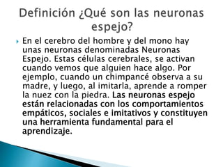  En el cerebro del hombre y del mono hay
unas neuronas denominadas Neuronas
Espejo. Estas células cerebrales, se activan
cuando vemos que alguien hace algo. Por
ejemplo, cuando un chimpancé observa a su
madre, y luego, al imitarla, aprende a romper
la nuez con la piedra. Las neuronas espejo
están relacionadas con los comportamientos
empáticos, sociales e imitativos y constituyen
una herramienta fundamental para el
aprendizaje.
 
