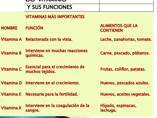 Todo sobre los alimentos Todo sobre los alimentos