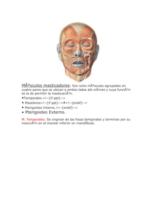 MÃºsculos masticadores: Son ocho mÃºsculos agrupados en
cuatro pares que se ubican a ambos lados del crÃ¡neo y cuya funciÃ³n
es la de permitir la masticaciÃ³n.
•Temporales.<!--[if ppt]-->
• Maseteros<!--[if ppt]-->•<!--[endif]-->
• Pterigoideo Interno.<!--[endif]-->
• Pterigoideo Externo.
M. Temporales: Se originan de las fosas temporales y terminan por su
inserciÃ³n en el maxilar inferior on mandÃbula.
 