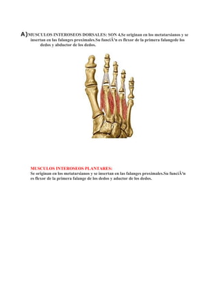 A)MUSCULOS INTEROSEOS DORSALES: SON 4,Se originan en los metatarsianos y se
    insertan en las falanges proximales.Su funciÃ³n es flexor de la primera falangede los
         dedos y abductor de los dedos.




    MUSCULOS INTEROSEOS PLANTARES:
    Se originan en los metatarsianos y se insertan en las falanges proximales.Su funciÃ³n
    es flexor de la primera falange de los dedos y aductor de los dedos.
 