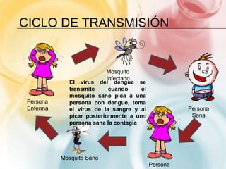 Ciclo de transmisiónMosquito InfectadoEl virus del dengue se transmite cuando el mosquito sano pica a una persona con dengue, toma el virus de la sangre y al picar posteriormente a una persona sana la contagiaPersona EnfermaPersona SanaMosquito SanoPersona Enferma