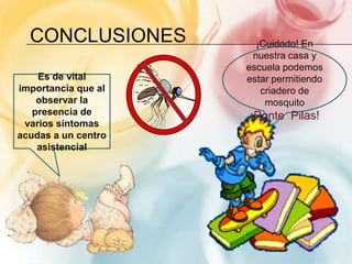 Conclusiones¡Cuidado! En nuestra casa y escuela podemos estar permitiendo criadero de mosquito¡Ponte  Pilas!Es de vital importancia que al observar la presencia de varios síntomas acudas a un centro   asistencial