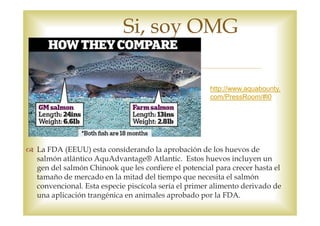 Si, soy OMG

                                                   http://www.aquabounty.
                                                   com/PressRoom/#l0




La FDA (EEUU) esta considerando la aprobación de los huevos de
salmón atlántico AquAdvantage® Atlantic. Estos huevos incluyen un
gen del salmón Chinook que les confiere el potencial para crecer hasta el
tamaño de mercado en la mitad del tiempo que necesita el salmón
convencional. Esta especie piscícola sería el primer alimento derivado de
una aplicación trangénica en animales aprobado por la FDA.
 