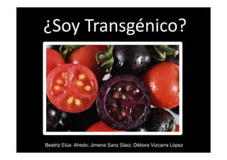 ¿Soy Transgénico?




Beatriz Elúa Ahedo; Jimena Sanz Sáez; Débora Vizcarra López
 