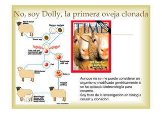 No, soy Dolly, la primera oveja clonada




                   Aunque no se me puede considerar un
                   organismo modificado genéticamente si
                   se ha aplicado biotecnología para
                   crearme.
                   Soy fruto de la investigación en biología
                   celular y clonación.
 