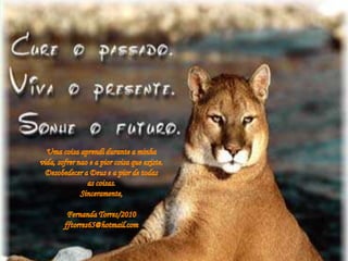 Todos somos diferentes