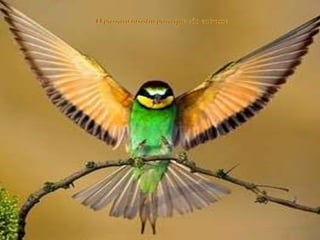 Todos somos diferentes