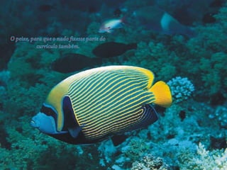 Todos somos diferentes