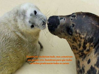 Todos somos diferentes