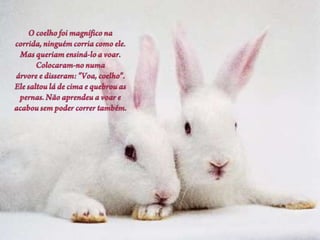 Todos somos diferentes