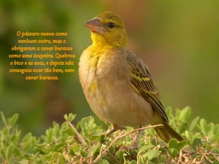 Todos somos diferentes