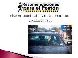  Hacer contacto visual con los 
conductores. 
 