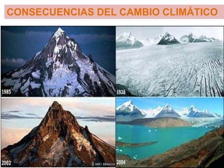 CONSECUENCIAS DEL CAMBIO CLIMÁTICO
 