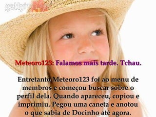 Meteoro123:   Falamos mais tarde. Tchau. Entretanto Meteoro123 foi ao menu de membros e começou buscar sobre o perfil dela. Quando apareceu, copiou e imprimiu. Pegou uma caneta e anotou o que sabia de Docinho até agora. 