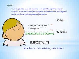 Identificar las característicasy necesidades
Trastornogenético, causamásfrecuente dediscapacidadcognitiva, psíquica
congénita, sepresentancardiopatíascongénitas,enfermedadesdeltractodigestivo,
atoníamusculargeneralizadadiscapacidadcognitiva.
Trastornos relacionados a
la percepción
Visión
¿QUEES?
Audición
SINDROME DE DOWN
IMPORTANTE
 