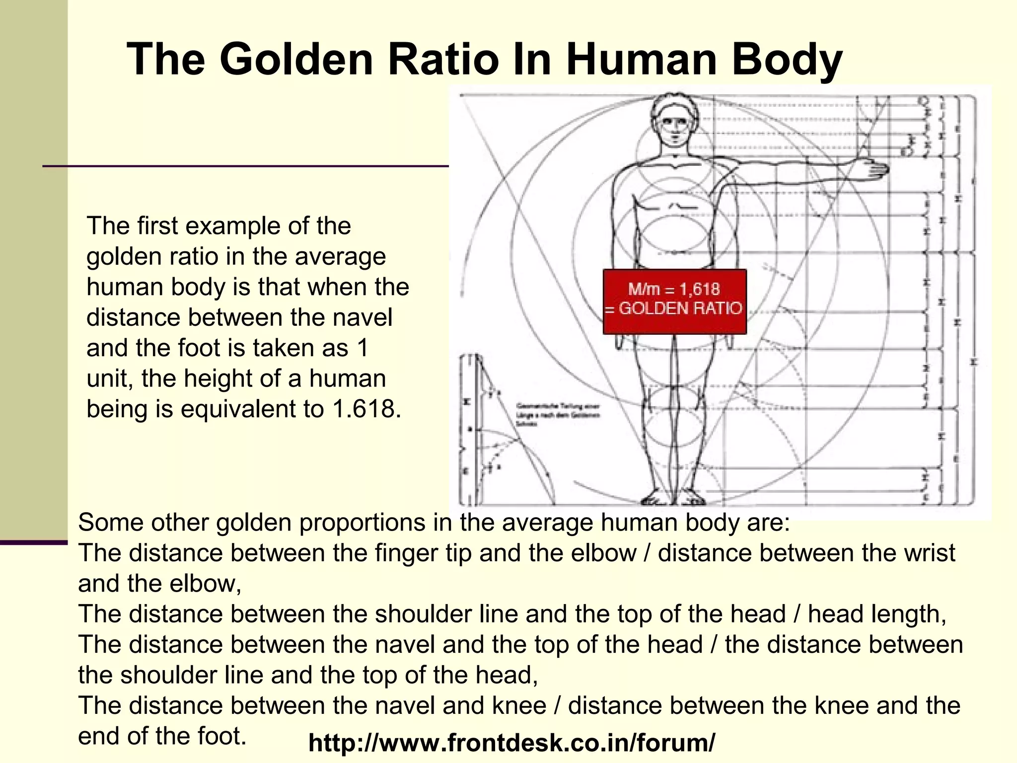 http://www.frontdesk.co.in/forum/
The Golden Ratio In Human Body
The first example of the
golden ratio in the average
human body is that when the
distance between the navel
and the foot is taken as 1
unit, the height of a human
being is equivalent to 1.618.
Some other golden proportions in the average human body are:
The distance between the finger tip and the elbow / distance between the wrist
and the elbow,
The distance between the shoulder line and the top of the head / head length,
The distance between the navel and the top of the head / the distance between
the shoulder line and the top of the head,
The distance between the navel and knee / distance between the knee and the
end of the foot.
 