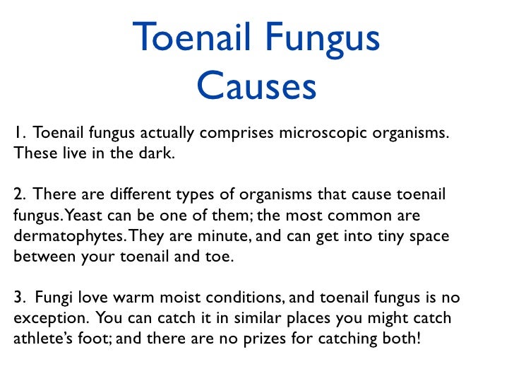 What are the most common types of nail fungus?