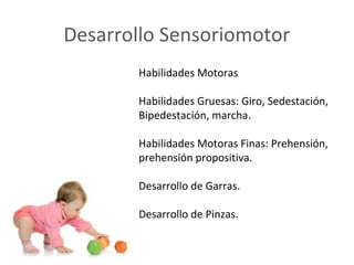 Desarrollo Sensoriomotor
       Habilidades Motoras

       Habilidades Gruesas: Giro, Sedestación,
       Bipedestación, marcha.

       Habilidades Motoras Finas: Prehensión,
       prehensión propositiva.

       Desarrollo de Garras.

       Desarrollo de Pinzas.
 