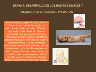 ETAPA 2: DESARROLLO DE LOS HÁBITOS SIMPLES Y
REACCIONES CIRCULARES PRIMARIAS
Entre el primer y segundo mes de vida.
Caracterizado por la formación de
patrones de hábitos simples. El término
que le da a esta etapa se refiere a
conductas que siendo originalmente
realizadas al azar producen resultados
placenteros para el niño que así repite el
comportamiento. Al cabo de repetir
mucho una determinada actividad esta se
convierte en un hábito. Por ejemplo: el
bebé consigue llevar la mano a la boca y
chupar la mano le causa placer, intenta
repetirlo pero no siempre lo consigue
porque no coordina la mano con la boca.
 