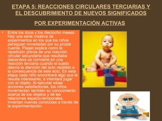 ETAPA 5: REACCIONES CIRCULARES TERCIARIAS Y
EL DESCUBRIMIENTO DE NUEVOS SIGNIFICADOS
POR EXPERIMENTACIÓN ACTIVAS
• Entre los doce y los dieciocho meses.
Hay una serie creativa de
experimentos en los que los niños
persiguen novedades por su propia
cuenta. Piaget explica como la
repetición previa de una reacción
circular secundaria que resultaba
placentera se convierte en una
reacción terciaria cuando el sujeto
desvía la atención del acto repetido a
la consecuencia de este acto. En esta
etapa cada niño encontrará algo que le
resulte interesante, e intentará jugar
con el objeto. Al ejecutar estas
acciones satisfactorias, los niños
incrementan también su conocimiento
acerca de los objetos y de las
relaciones espacio-temporales.
Inventan nuevas conductas a través de
la experimentación.
 