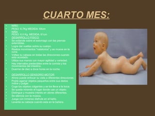 CUARTO MES:
• NIÑO
• PESO: 6.7Kg MEDIDA: 64cm
• NIÑA
PESO: 6.0 Kg. MEDIDA: 61cm
• DESARROLLO FISICO:
• Se extiende sobre el estomago con las piernas
extendidas.
• Logra dar vueltas sobre su cuerpo.
• Realiza movimientos "natatorios" y se mueve en la
cuna.
• Voltea su cabeza en todas las direcciones cuando
esta acostado.
• Utiliza sus manos con mayor agilidad y variedad.
• Hay intervalos predecibles entre la comida y los
movimientos del intestino.
• Duerme de diez a doce horas en la noche.
• DESARROLLO SENSORIO MOTOR:
• Ahora puede enfocar su vista a diferentes direcciones.
• Podrá agarrar objetos pequeños entre sus dedos
índice y pulgar.
• Coge los objetos colgantes y se los lleva a la boca.
• Se queda mirando el lugar donde cae un objeto.
• Distingue y muestra interés en olores diferentes.
• Se silencia con la música.
• Juega con inmenso disfrute en el baño.
• Levanta su cabeza cuando esta en la bañera.
 