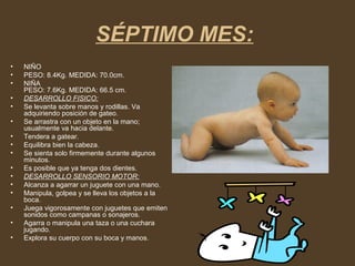 SÉPTIMO MES:
• NIÑO
• PESO: 8.4Kg. MEDIDA: 70.0cm.
• NIÑA
PESO: 7.6Kg. MEDIDA: 66.5 cm.
• DESARROLLO FISICO:
• Se levanta sobre manos y rodillas. Va
adquiriendo posición de gateo.
• Se arrastra con un objeto en la mano;
usualmente va hacia delante.
• Tendera a gatear.
• Equilibra bien la cabeza.
• Se sienta solo firmemente durante algunos
minutos.
• Es posible que ya tenga dos dientes.
• DESARROLLO SENSORIO MOTOR:
• Alcanza a agarrar un juguete con una mano.
• Manipula, golpea y se lleva los objetos a la
boca.
• Juega vigorosamente con juguetes que emiten
sonidos como campanas o sonajeros.
• Agarra o manipula una taza o una cuchara
jugando.
• Explora su cuerpo con su boca y manos.
 