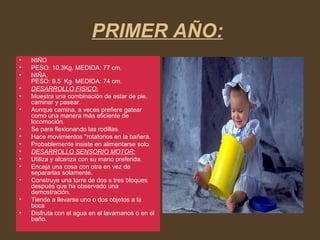 PRIMER AÑO:
• NIÑO
• PESO: 10.3Kg. MEDIDA: 77 cm.
• NIÑA.
PESO: 9.5 Kg. MEDIDA: 74 cm.
• DESARROLLO FISICO:
• Muestra una combinación de estar de pie,
caminar y pasear.
• Aunque camina, a veces prefiere gatear
como una manera más eficiente de
locomoción.
• Se para flexionando las rodillas.
• Hace movimientos "rotatorios en la bañera.
• Probablemente insiste en alimentarse solo.
• DESARROLLO SENSORIO MOTOR:
• Utiliza y alcanza con su mano preferida.
• Encaja una cosa con otra en vez de
separarlas solamente.
• Construye una torre de dos s tres bloques
después que ha observado una
demostración.
• Tiende a llevarse uno o dos objetos a la
boca
• Disfruta con el agua en el lavamanos o en el
baño.
 