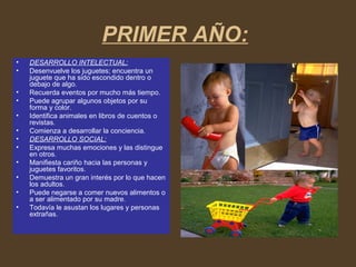 PRIMER AÑO:
• DESARROLLO INTELECTUAL:
• Desenvuelve los juguetes; encuentra un
juguete que ha sido escondido dentro o
debajo de algo.
• Recuerda eventos por mucho más tiempo.
• Puede agrupar algunos objetos por su
forma y color.
• Identifica animales en libros de cuentos o
revistas.
• Comienza a desarrollar la conciencia.
• DESARROLLO SOCIAL:
• Expresa muchas emociones y las distingue
en otros.
• Manifiesta cariño hacia las personas y
juguetes favoritos.
• Demuestra un gran interés por lo que hacen
los adultos.
• Puede negarse a comer nuevos alimentos o
a ser alimentado por su madre.
• Todavía le asustan los lugares y personas
extrañas.
 