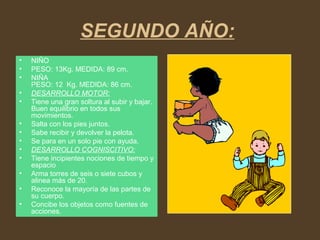 SEGUNDO AÑO:
• NIÑO
• PESO: 13Kg. MEDIDA: 89 cm.
• NIÑA
PESO: 12 Kg. MEDIDA: 86 cm.
• DESARROLLO MOTOR:
• Tiene una gran soltura al subir y bajar.
Buen equilibrio en todos sus
movimientos.
• Salta con los pies juntos.
• Sabe recibir y devolver la pelota.
• Se para en un solo pie con ayuda.
• DESARROLLO COGNISCITIVO:
• Tiene incipientes nociones de tiempo y
espacio
• Arma torres de seis o siete cubos y
alinea más de 20.
• Reconoce la mayoría de las partes de
su cuerpo.
• Concibe los objetos como fuentes de
acciones.
 