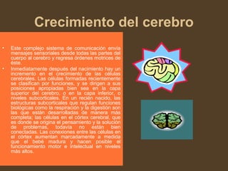 Crecimiento del cerebro
• Este complejo sistema de comunicación envía
mensajes sensoriales desde todas las partes del
cuerpo al cerebro y regresa órdenes motrices de
éste.
• Inmediatamente después del nacimiento hay un
incremento en el crecimiento de las células
cerebrales. Las células formadas recientemente
se clasifican por funciones, y se dirigen a sus
posiciones apropiadas bien sea en la capa
superior del cerebro, o en la capa inferior, o
niveles subcorticales. En un recién nacido, las
estructuras subcorticales que regulan funciones
biológicas como la respiración y la digestión son
las que están desarrolladas de manera más
completa; las células en el córtex cerebral, que
es donde se origina el pensamiento y la solución
de problemas, todavía no están bien
conectadas. Las conexiones entre las células en
el córtex aumentan marcadamente a medida
que el bebé madura y hacen posible el
funcionamiento motor e intelectual en niveles
más altos.
 