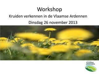 Workshop
Kruiden verkennen in de Vlaamse Ardennen
Dinsdag 26 november 2013

 