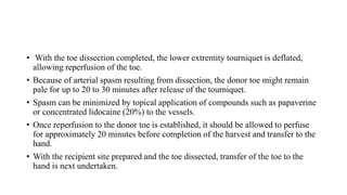 • With the toe dissection completed, the lower extremity tourniquet is deflated,
allowing reperfusion of the toe.
• Because of arterial spasm resulting from dissection, the donor toe might remain
pale for up to 20 to 30 minutes after release of the tourniquet.
• Spasm can be minimized by topical application of compounds such as papaverine
or concentrated lidocaine (20%) to the vessels.
• Once reperfusion to the donor toe is established, it should be allowed to perfuse
for approximately 20 minutes before completion of the harvest and transfer to the
hand.
• With the recipient site prepared and the toe dissected, transfer of the toe to the
hand is next undertaken.
 