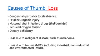 Causes of Thumb Loss
• Congenital (partial or total) absence.
oFetal neurogenic injury
oMaternal viral infection, drugs (thalidomide )
oReduced oxygen tension
oDietary deficiency
• Loss due to malignant disease, such as melanoma.
• Loss due to trauma (M/C) including industrial, non-industrial,
and environmental insults.
 